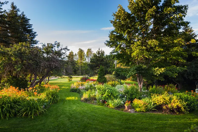 Drzewa i kwitnące rośliny w Wileńskim Ogrodzie Botanicznym